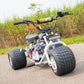 2024 "GT" Special Edition TGV Mini Trike