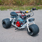 2024 "GT" Special Edition TGV Mini Trike